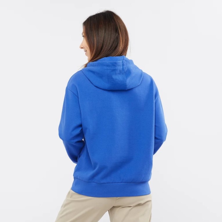 Blue Salomon Outlife Logo Summer Women's Sweatshirt | PH 89754K